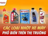 Cac-Loai-Nhot-Xe-May-Pho-Bien-Tren-thi-Truong