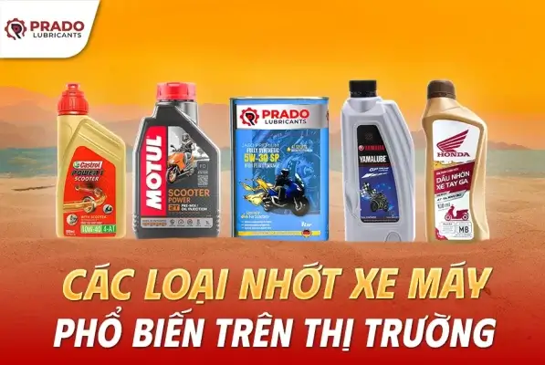 Cac-Loai-Nhot-Xe-May-Pho-Bien-Tren-thi-Truong