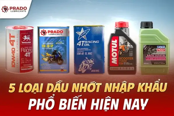 5-loai-dau-nhot-nhap-khau-pho-bien-hien-nay