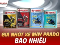 Gia-nhot-xe-may-Prado-bao-nhieu-2024