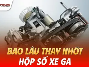 Bao-lau-thay-nhot-hop-so-xe-tay-ga