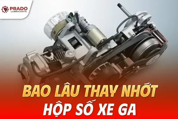 Bao-lau-thay-nhot-hop-so-xe-tay-ga