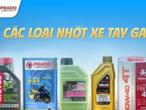 Cac-loai-nhot-xe-tay-ga