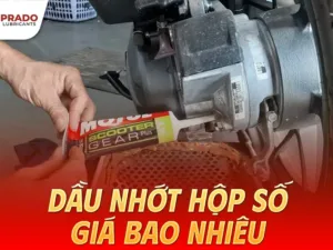 Dau-nhot-hop-so-gia-bao-nhieu