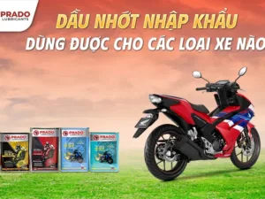 Dau-nhot-nhap-khau-dung-duoc-cho-cac-loai-xe-nao