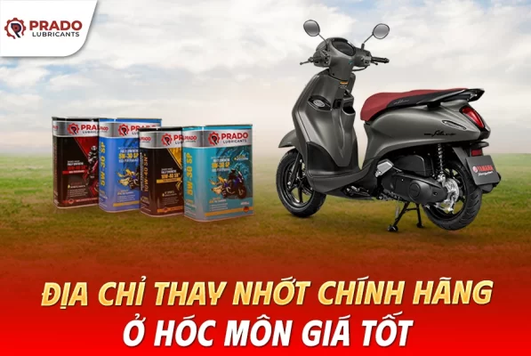 Dia-chi-thay-nhot-chinh-hang-o-Hoc-Mon-gia-tot
