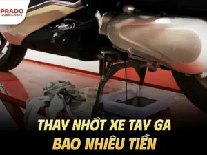 Thay-nhot-xe-tay-ga-bao-nhieu-tien