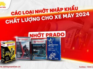 cac-loai-nhot-nhap-khau