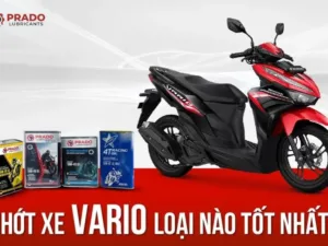 Nhot-xe-vario-loai-nao-tot-nhat