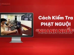 cach-kiem-tra-phat-nguoi-nhanh-nhat