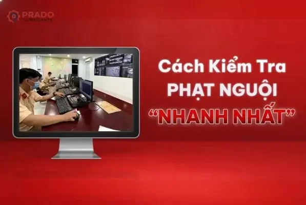 cach-kiem-tra-phat-nguoi-nhanh-nhat