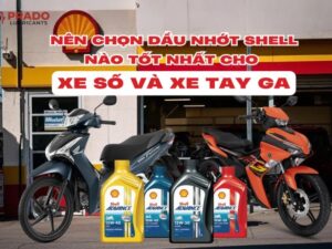 nhot-xe-may-cho-xe-con-tay