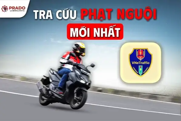 cach-tra-cuu-phat-nguoi-xe-may-moi-nhat-theo-bien-so