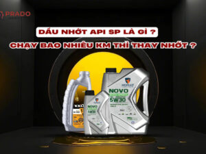 dau-nhot-api-sp-2025