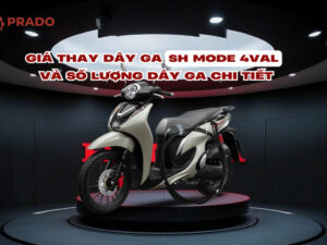 gia-thay-day-ga-sh-mode