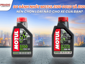 So sánh nhớt Motul 3100 Gold và 5100? Nên chọn loại nào cho xe của bạn?