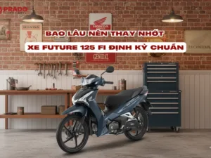 bao-lau-nen-thay-nhot-xe-future-125-FI-dinh-ky-chuan