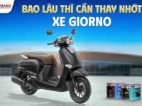 bao-lau-thi-can-thay-nhot-xe-giorno