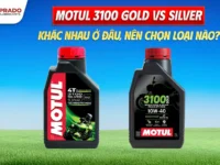 motul 3100 gold vs silver