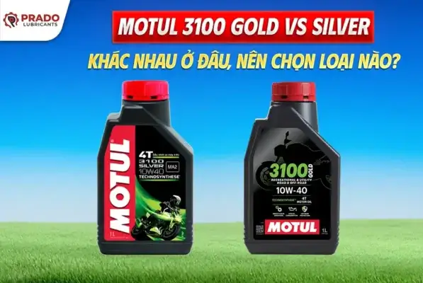 motul 3100 gold vs silver