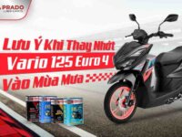 thay-nhot-vario-euro