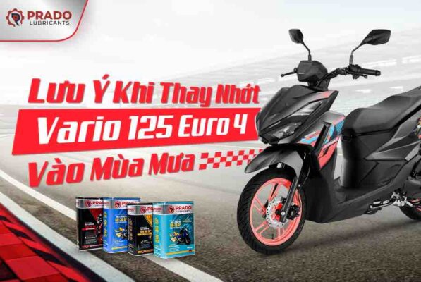 thay-nhot-vario-euro