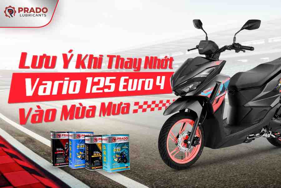 thay-nhot-vario-euro