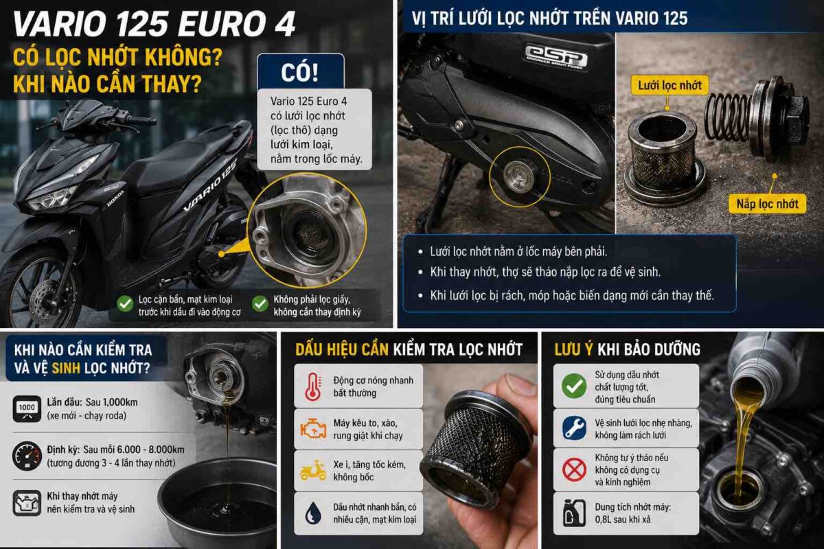 Vario 125 Euro 4 Có Lọc Nhớt Không? Khi Nào Cần Thay? 5 vario-125-euro-4-co-loc-nhot-khong-khi-nao-can-thay